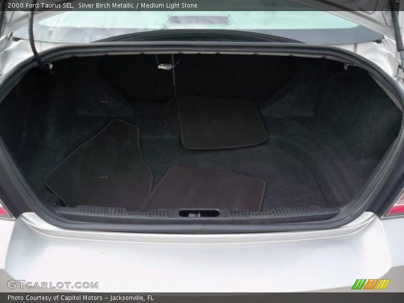 Silver Birch Metallic / Medium Light Stone 2008 Ford Taurus SEL