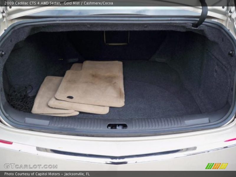 Gold Mist / Cashmere/Cocoa 2009 Cadillac CTS 4 AWD Sedan