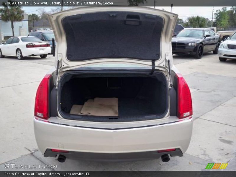 Gold Mist / Cashmere/Cocoa 2009 Cadillac CTS 4 AWD Sedan