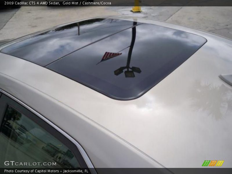 Gold Mist / Cashmere/Cocoa 2009 Cadillac CTS 4 AWD Sedan