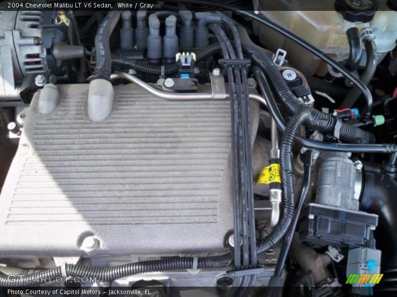 White / Gray 2004 Chevrolet Malibu LT V6 Sedan