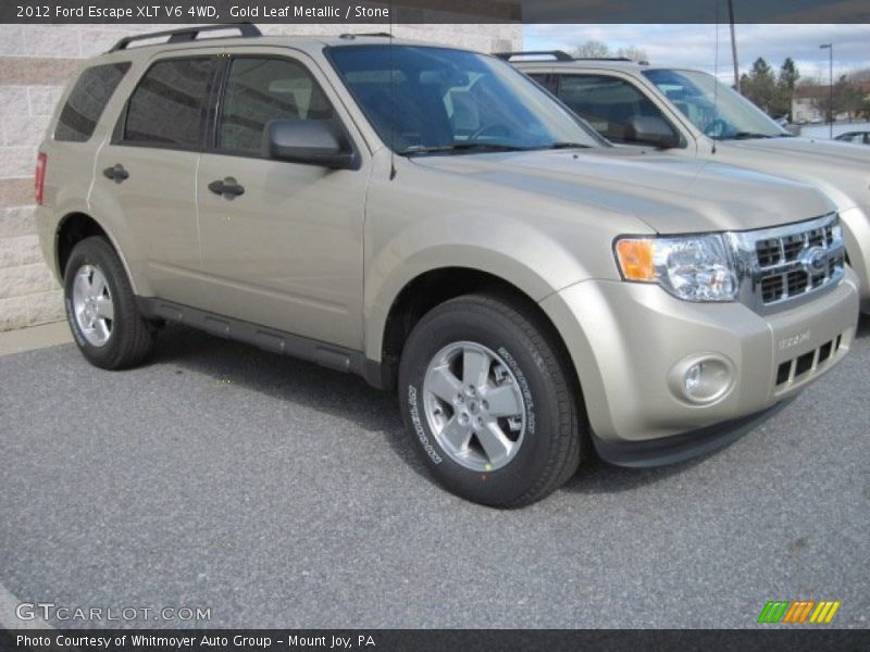 Gold Leaf Metallic / Stone 2012 Ford Escape XLT V6 4WD