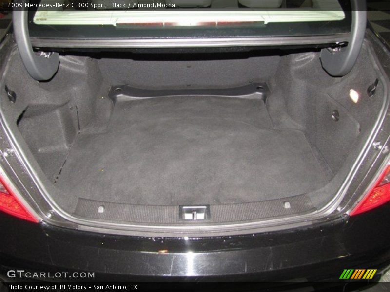 Black / Almond/Mocha 2009 Mercedes-Benz C 300 Sport
