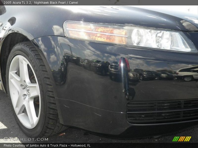 Nighthawk Black Pearl / Camel 2005 Acura TL 3.2