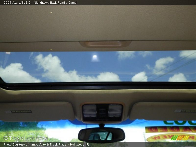 Nighthawk Black Pearl / Camel 2005 Acura TL 3.2