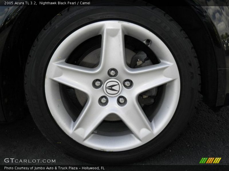 Nighthawk Black Pearl / Camel 2005 Acura TL 3.2