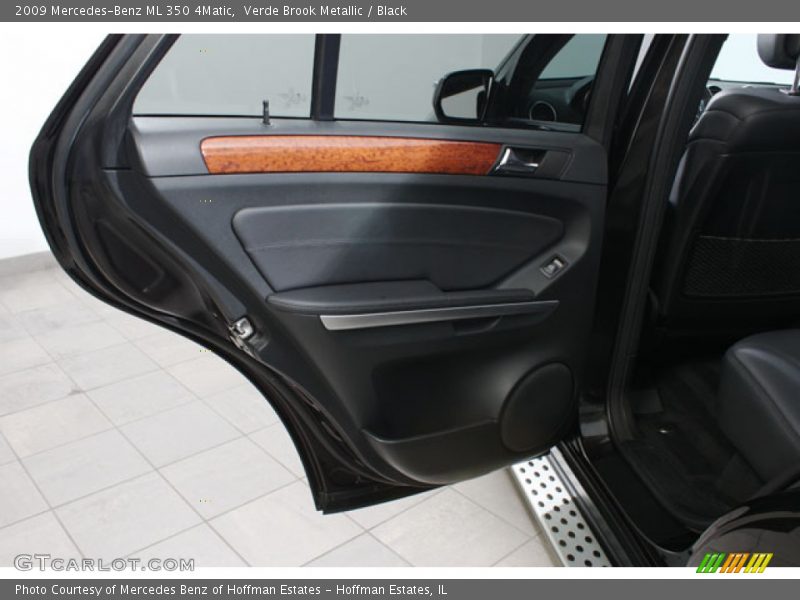 Verde Brook Metallic / Black 2009 Mercedes-Benz ML 350 4Matic