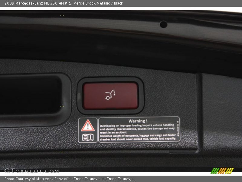 Verde Brook Metallic / Black 2009 Mercedes-Benz ML 350 4Matic
