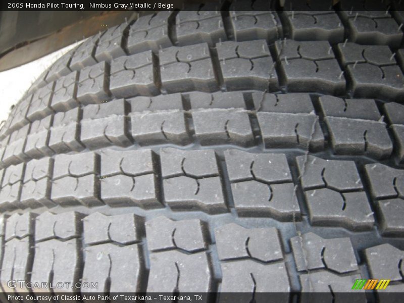 Nimbus Gray Metallic / Beige 2009 Honda Pilot Touring