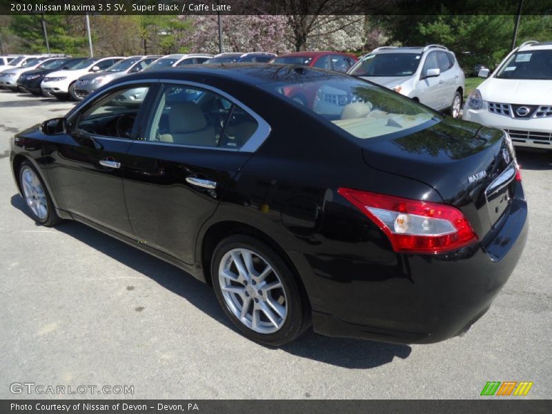 Super Black / Caffe Latte 2010 Nissan Maxima 3.5 SV