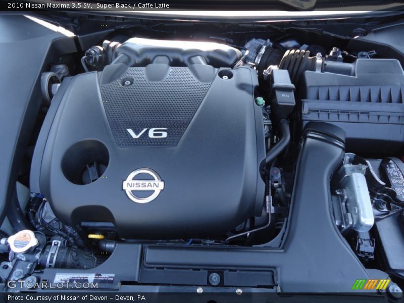 Super Black / Caffe Latte 2010 Nissan Maxima 3.5 SV