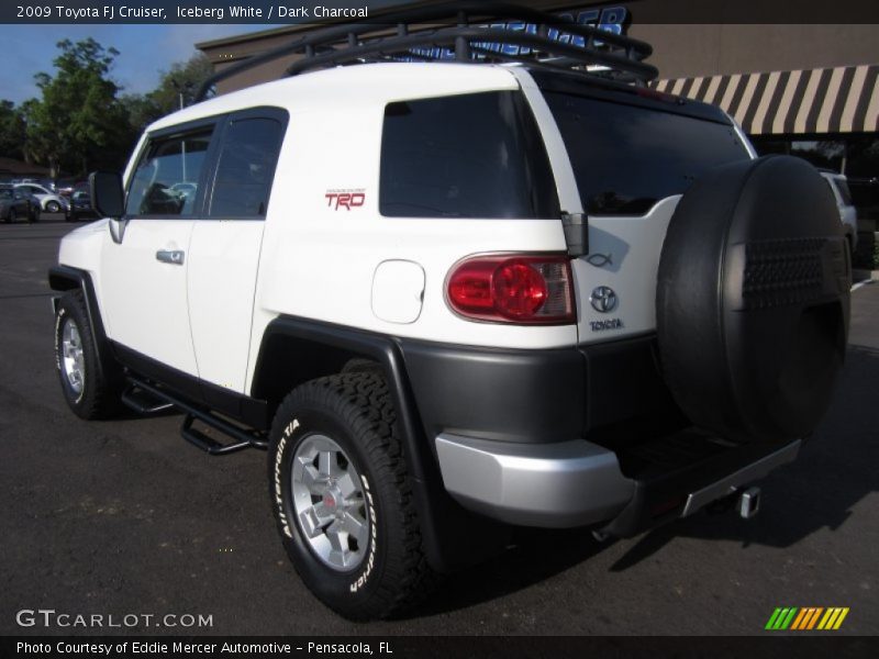 Iceberg White / Dark Charcoal 2009 Toyota FJ Cruiser