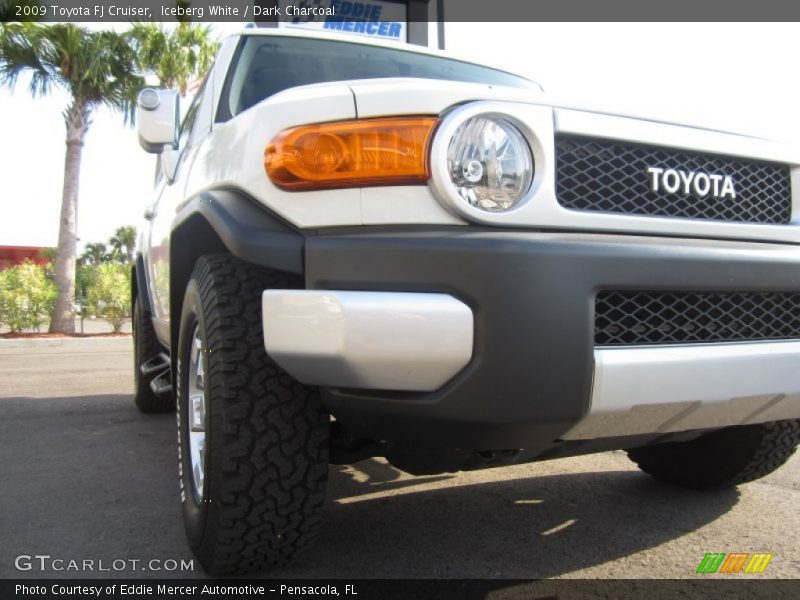 Iceberg White / Dark Charcoal 2009 Toyota FJ Cruiser