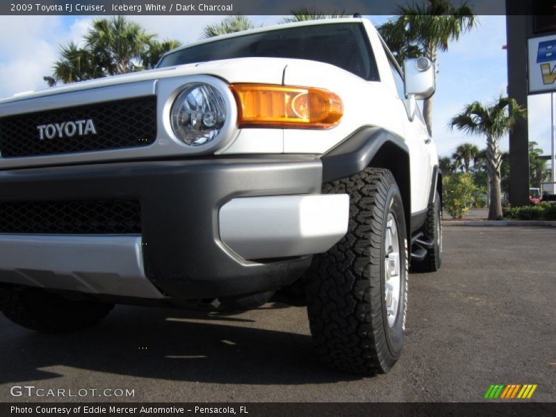 Iceberg White / Dark Charcoal 2009 Toyota FJ Cruiser