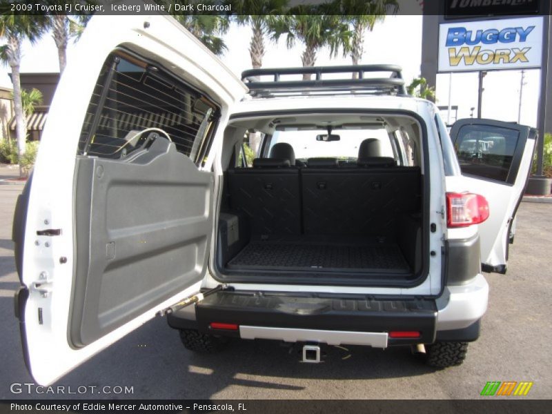 Iceberg White / Dark Charcoal 2009 Toyota FJ Cruiser