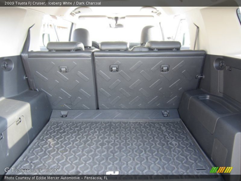 Iceberg White / Dark Charcoal 2009 Toyota FJ Cruiser