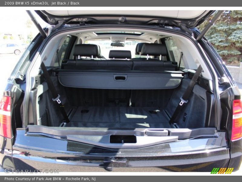 Jet Black / Black 2009 BMW X5 xDrive30i