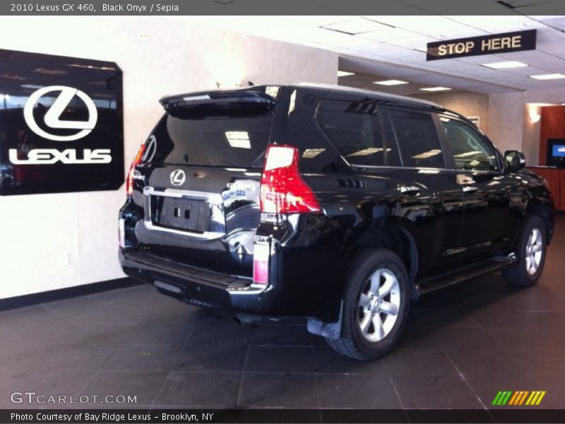Black Onyx / Sepia 2010 Lexus GX 460