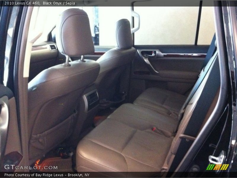 Black Onyx / Sepia 2010 Lexus GX 460