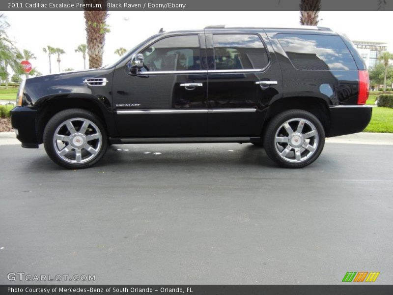 Black Raven / Ebony/Ebony 2011 Cadillac Escalade Premium