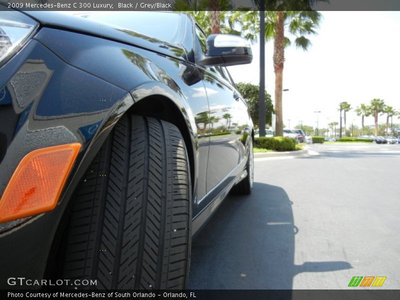 Black / Grey/Black 2009 Mercedes-Benz C 300 Luxury