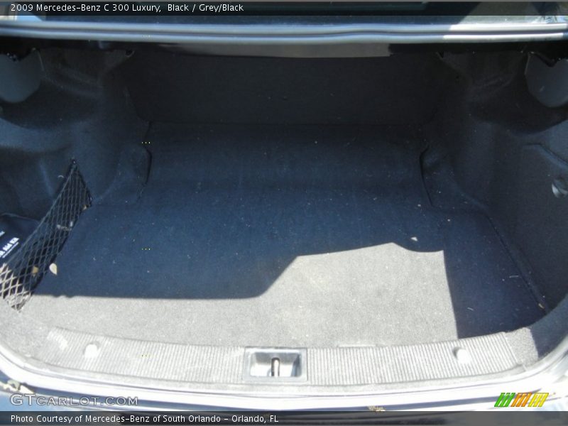 Black / Grey/Black 2009 Mercedes-Benz C 300 Luxury
