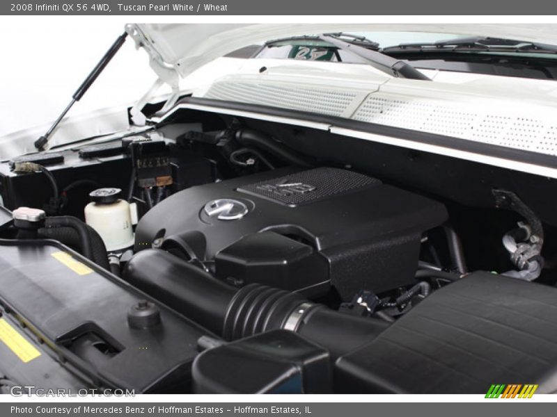 Tuscan Pearl White / Wheat 2008 Infiniti QX 56 4WD