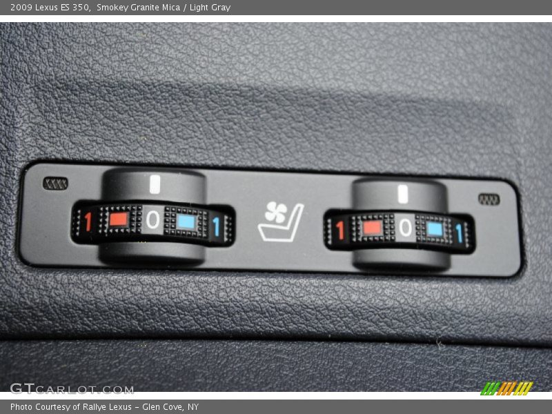 Smokey Granite Mica / Light Gray 2009 Lexus ES 350