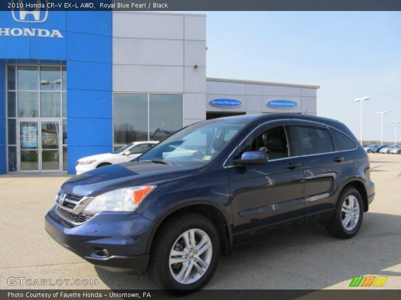 Royal Blue Pearl / Black 2010 Honda CR-V EX-L AWD
