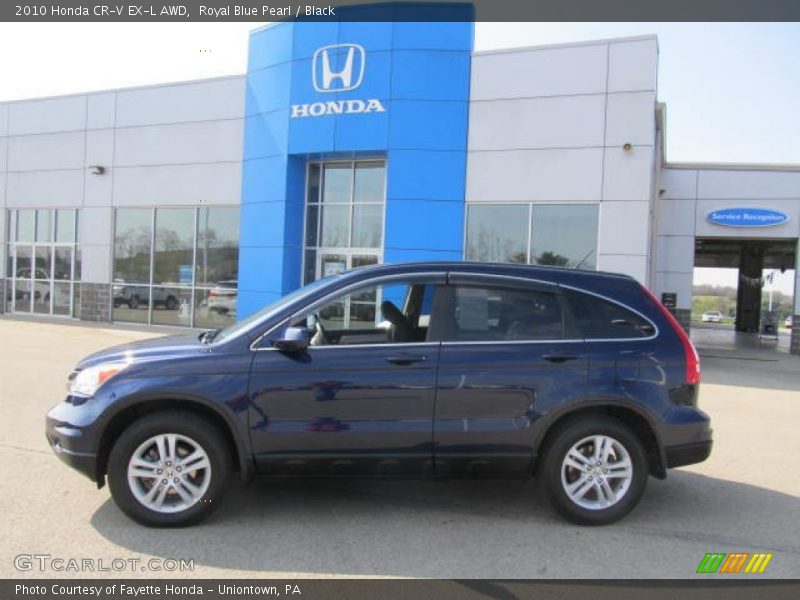 Royal Blue Pearl / Black 2010 Honda CR-V EX-L AWD