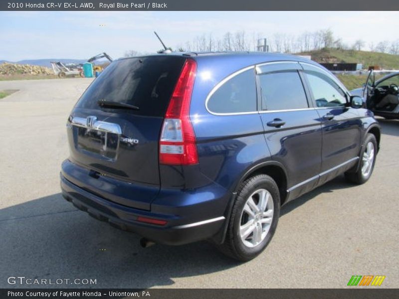 Royal Blue Pearl / Black 2010 Honda CR-V EX-L AWD
