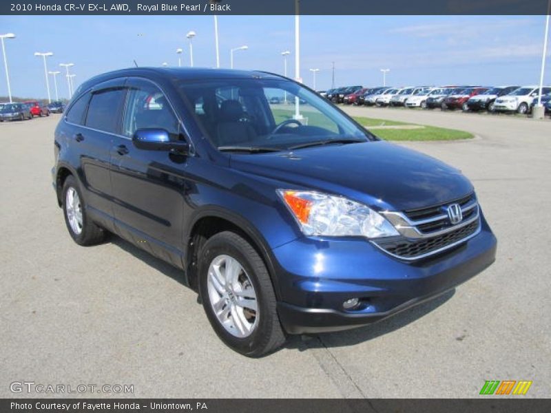 Royal Blue Pearl / Black 2010 Honda CR-V EX-L AWD