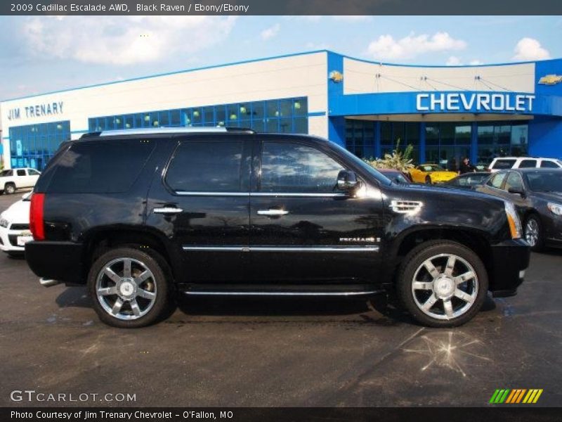 Black Raven / Ebony/Ebony 2009 Cadillac Escalade AWD
