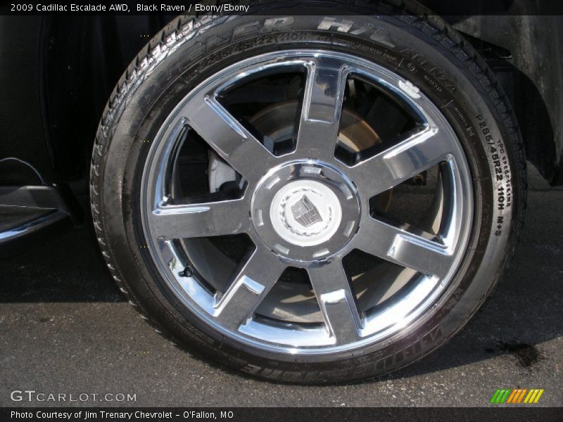 Black Raven / Ebony/Ebony 2009 Cadillac Escalade AWD