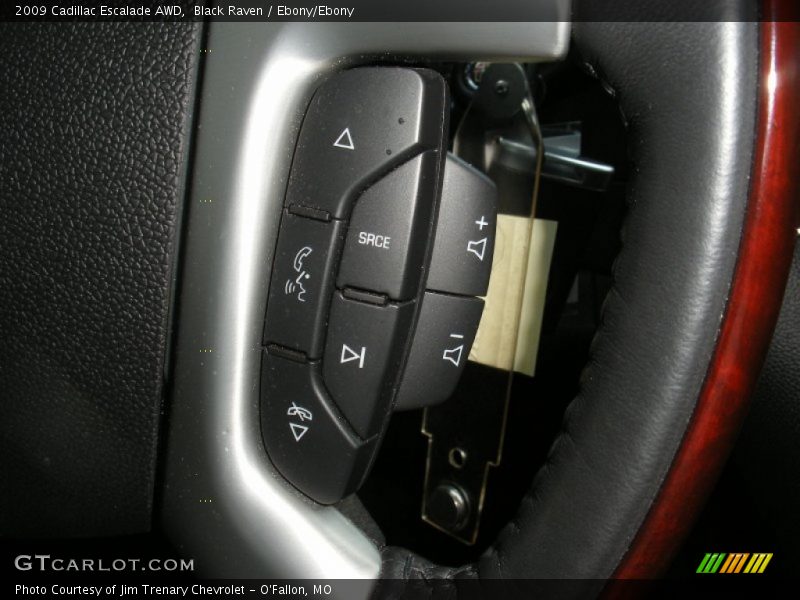 Black Raven / Ebony/Ebony 2009 Cadillac Escalade AWD