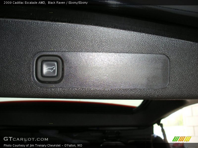 Black Raven / Ebony/Ebony 2009 Cadillac Escalade AWD