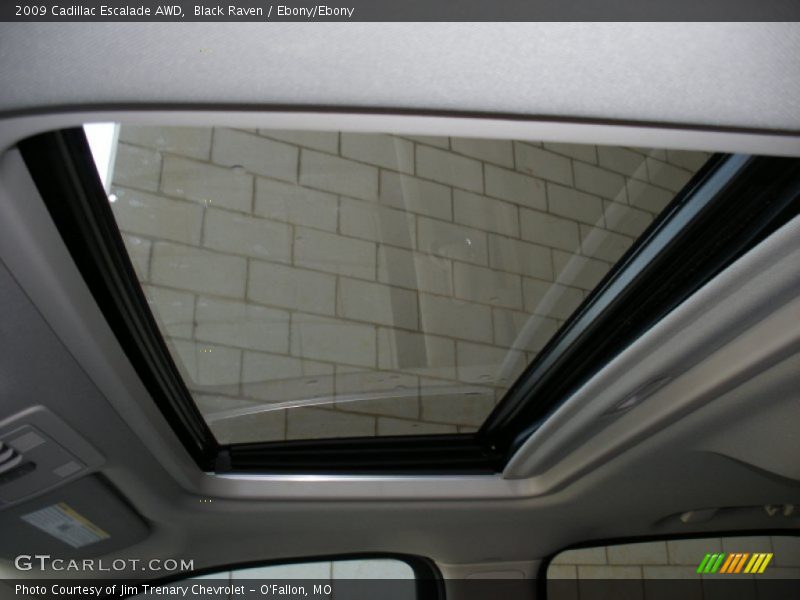 Black Raven / Ebony/Ebony 2009 Cadillac Escalade AWD