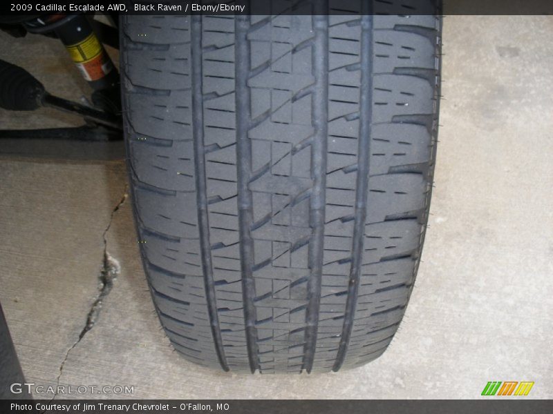 Black Raven / Ebony/Ebony 2009 Cadillac Escalade AWD