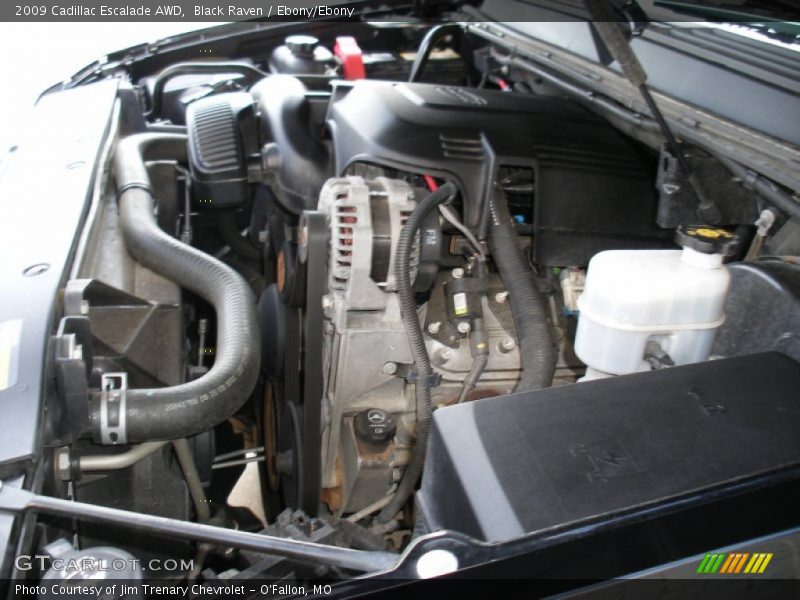 Black Raven / Ebony/Ebony 2009 Cadillac Escalade AWD