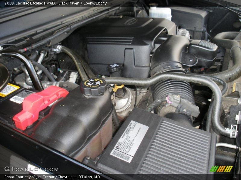 Black Raven / Ebony/Ebony 2009 Cadillac Escalade AWD