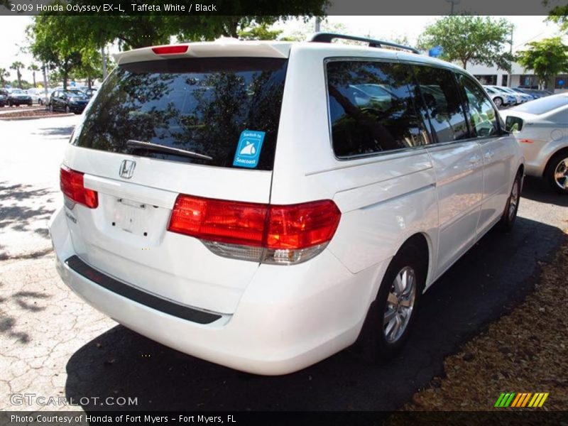 Taffeta White / Black 2009 Honda Odyssey EX-L
