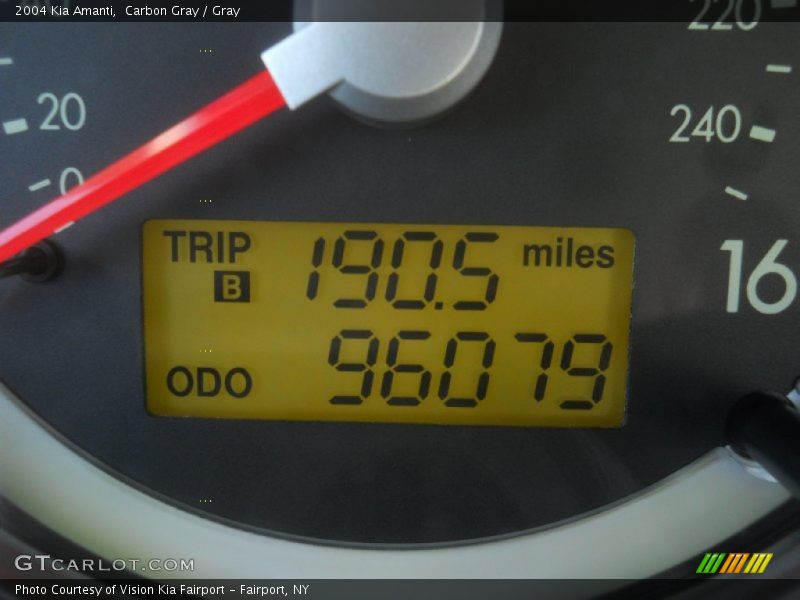 Carbon Gray / Gray 2004 Kia Amanti