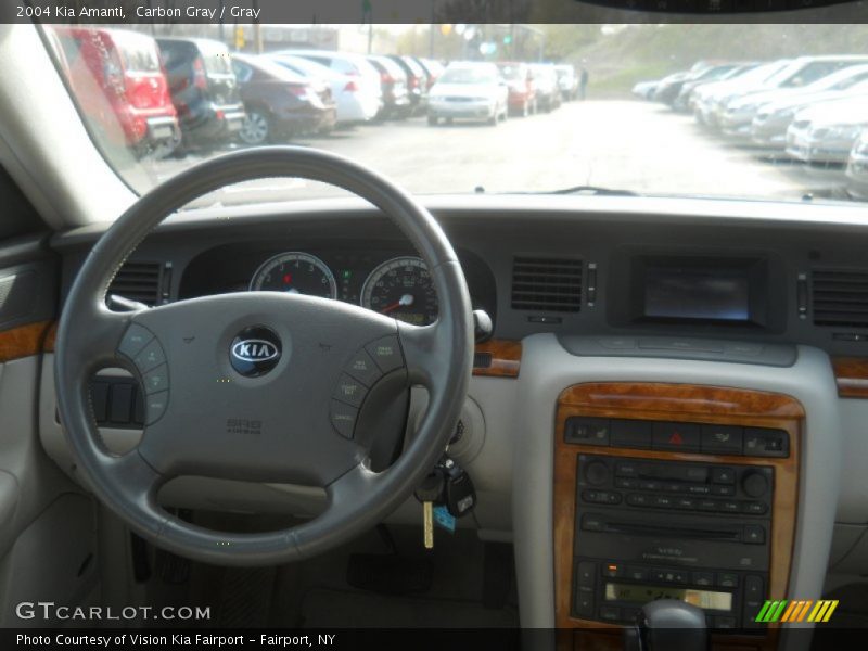 Carbon Gray / Gray 2004 Kia Amanti