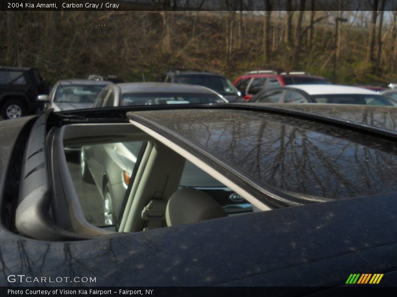 Carbon Gray / Gray 2004 Kia Amanti