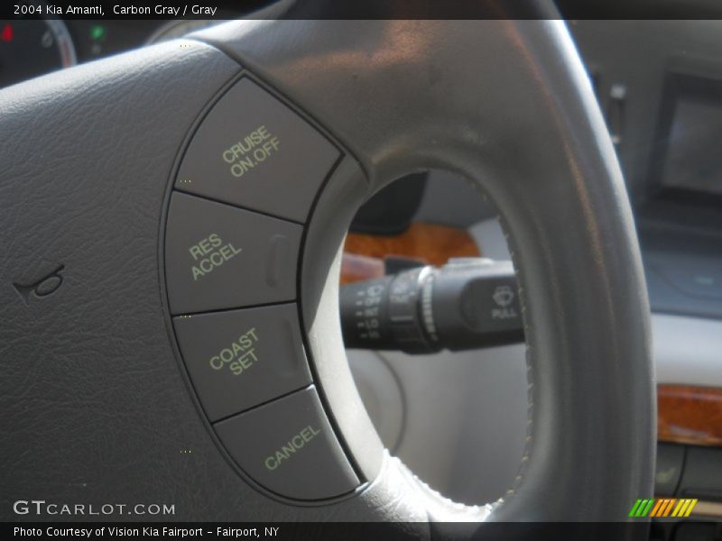 Carbon Gray / Gray 2004 Kia Amanti