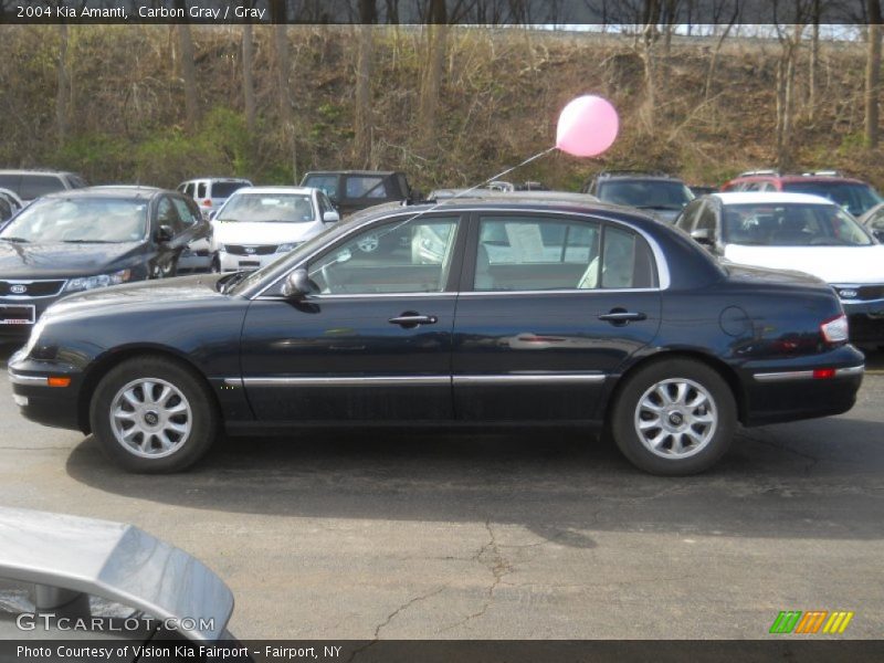 Carbon Gray / Gray 2004 Kia Amanti