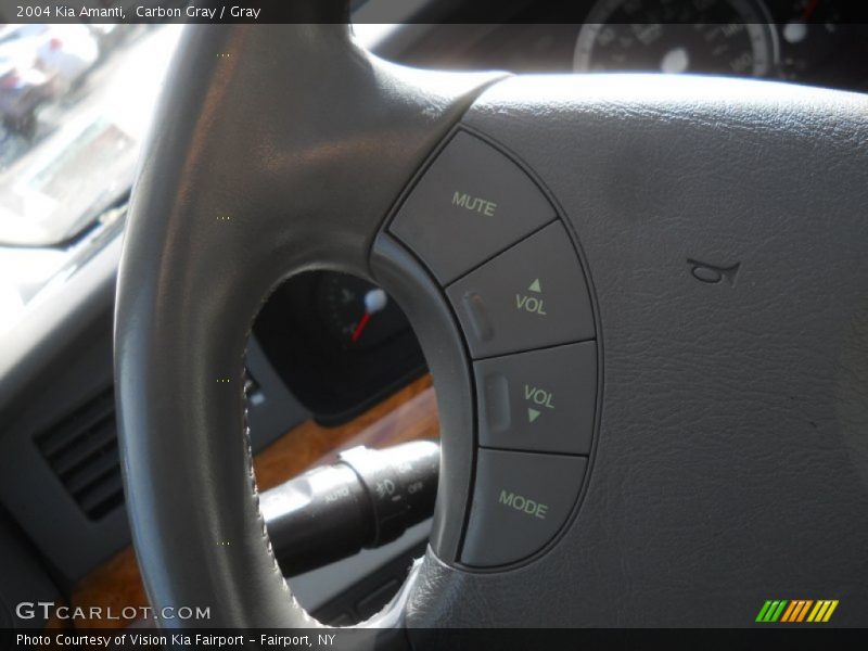 Carbon Gray / Gray 2004 Kia Amanti