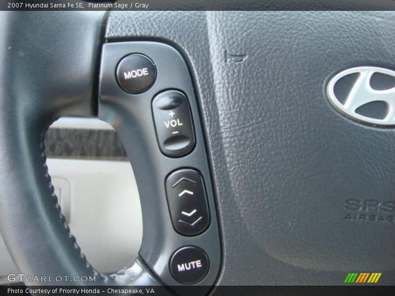 Platinum Sage / Gray 2007 Hyundai Santa Fe SE