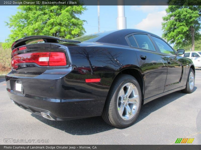 Blackberry Pearl / Black 2012 Dodge Charger SE