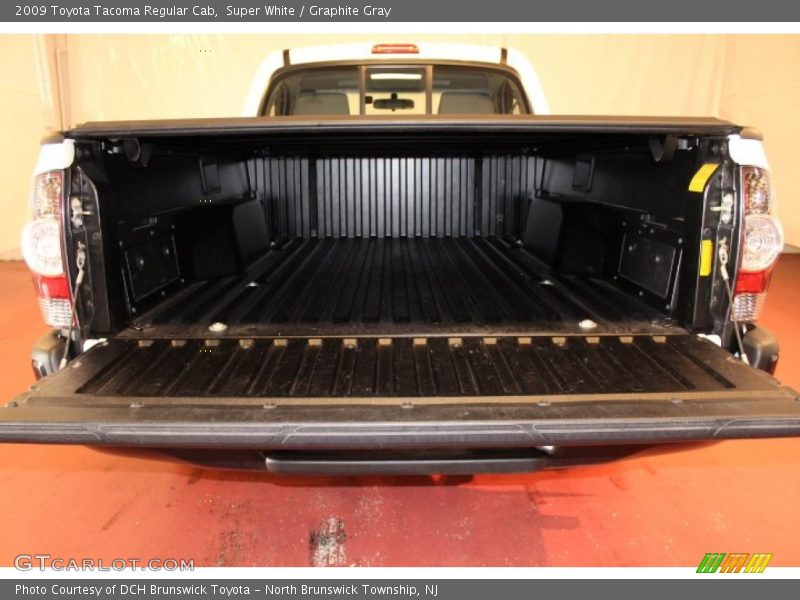 Super White / Graphite Gray 2009 Toyota Tacoma Regular Cab